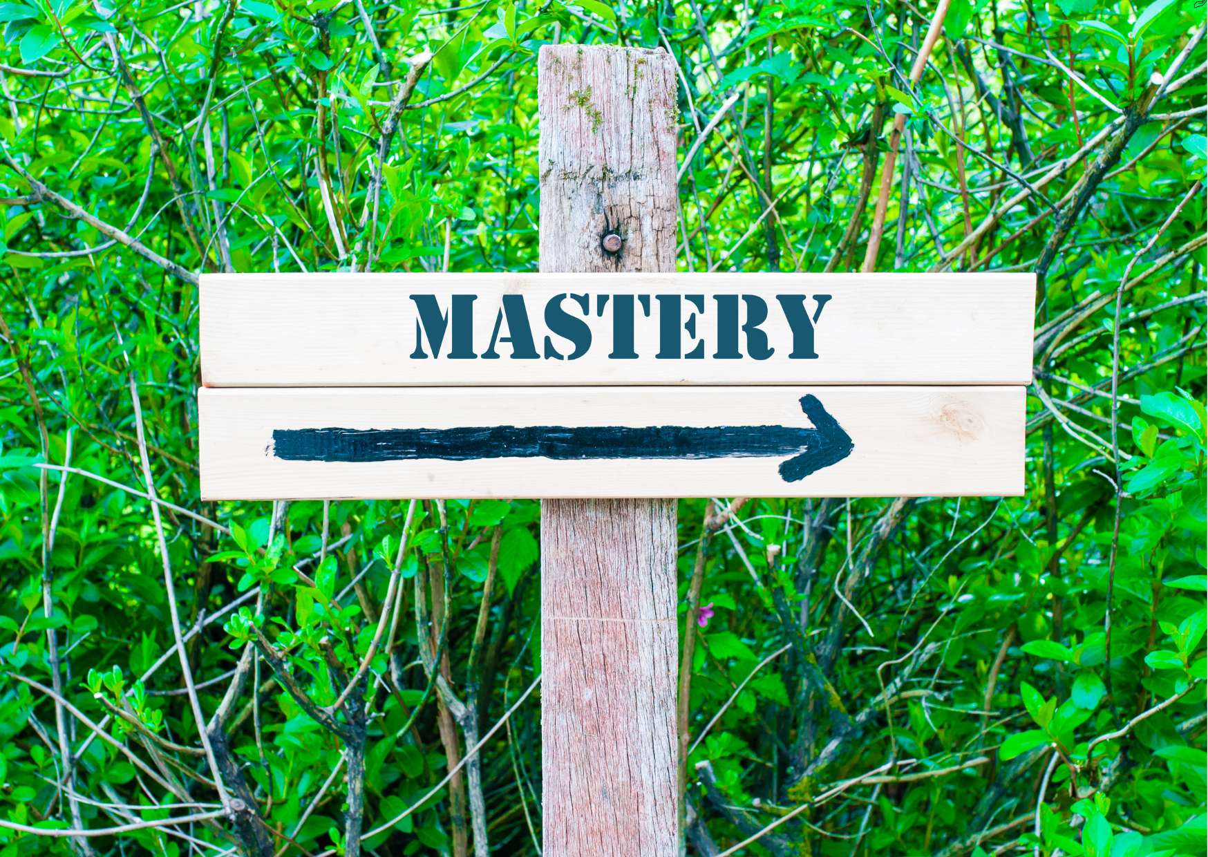 ActiveCampaign Mastery: Automated Marketing Unleashed