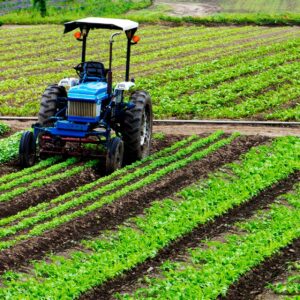 Agriculture Essentials Diploma