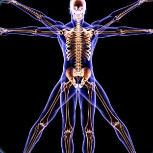 Anatomy and Physiology Basics