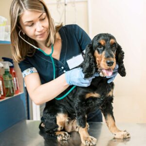Animal Care Expertise