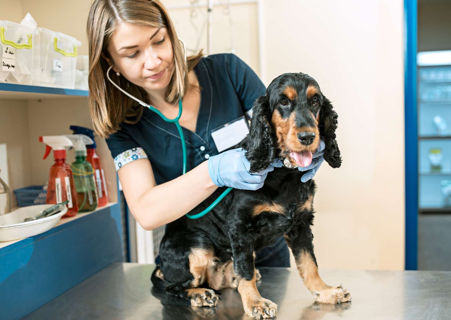 Animal Care Expertise