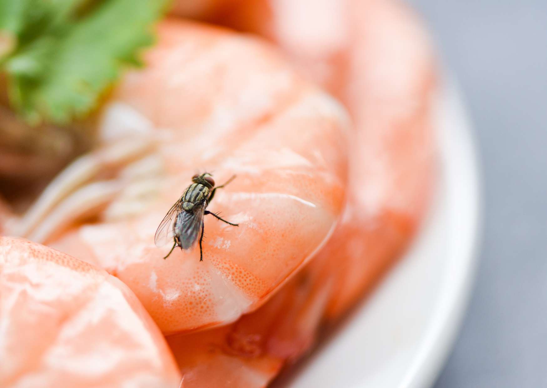 Applied Food Hygiene Techniques