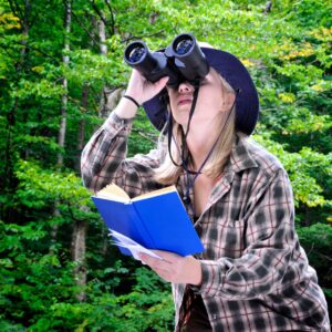 Bird Watching Overview