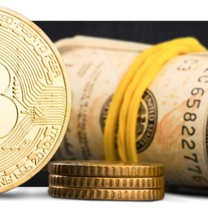 Bitcoin Business Growth Mastery