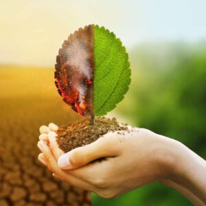 Certificate in Environmental Management