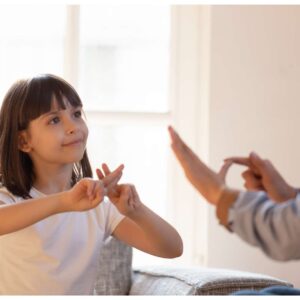 Comprehensive British Sign Language (BSL) Course