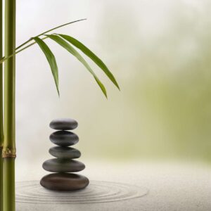 Comprehensive Feng Shui Course