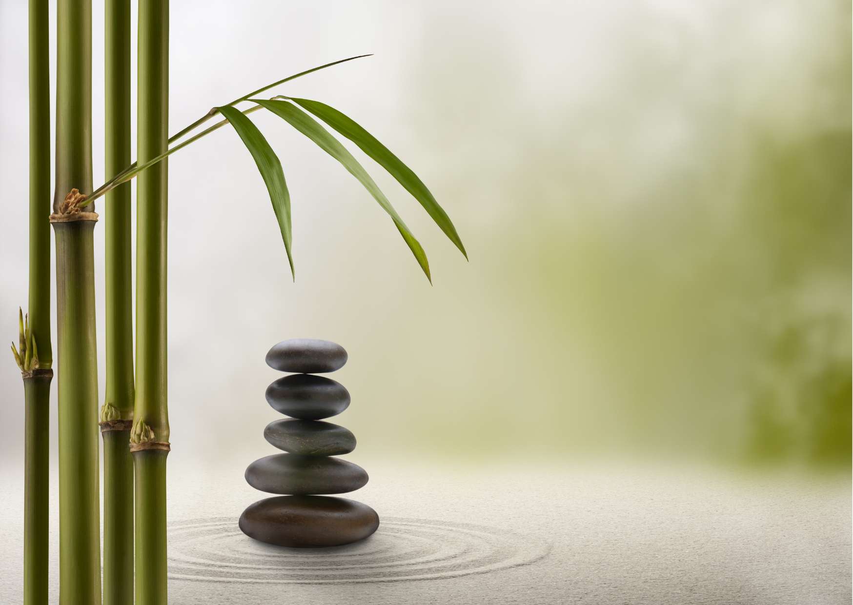 Comprehensive Feng Shui Course