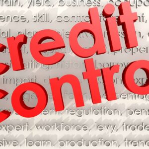 Controlling Business Credit Skills