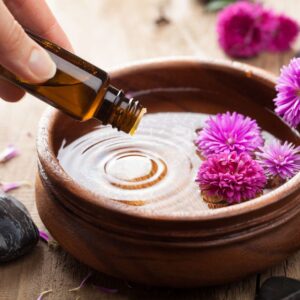 Essential Oils Navigation