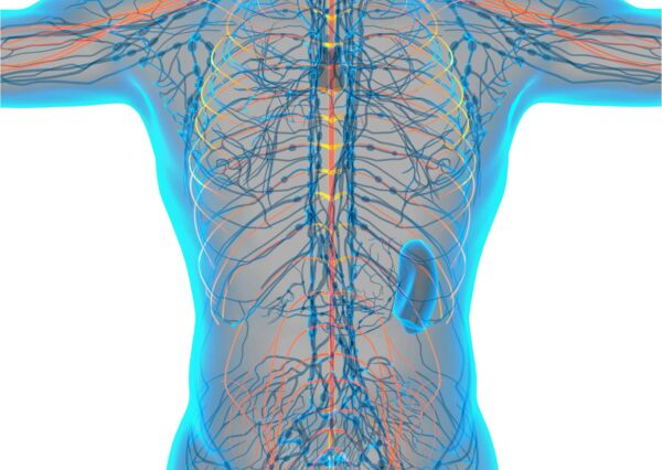 Fundamentals of Anatomy and Physiology