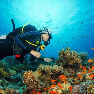 Promoting Environmental Conservation: A Deep Dive