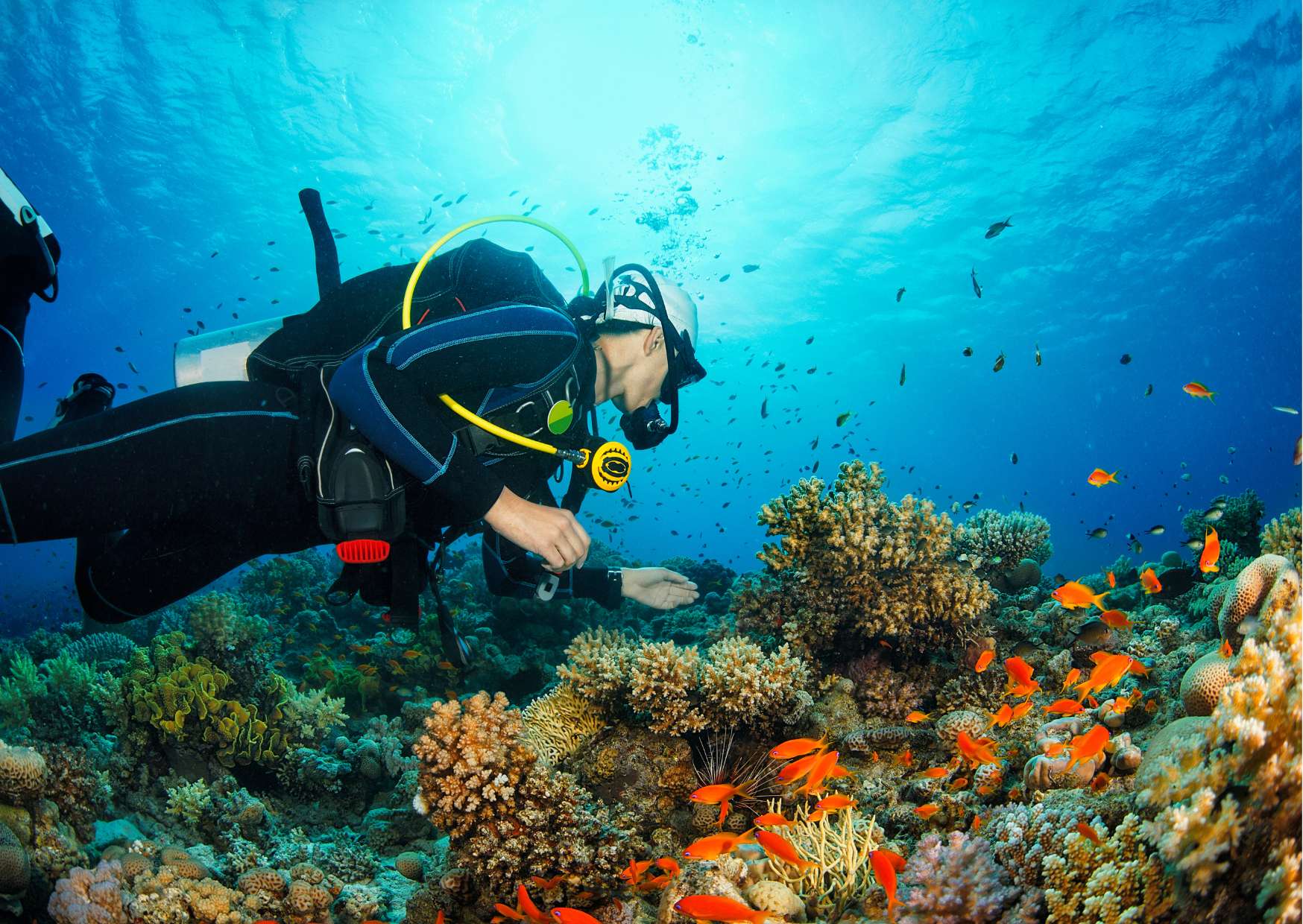 Promoting Environmental Conservation: A Deep Dive