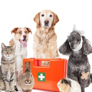 Pet and Wildlife First Aid