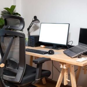 Ergonomics for a Secure Computer Workstation