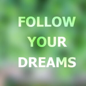 Growing Your Skillshare Following