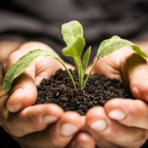 Cultivating a Positive Attitude for Life