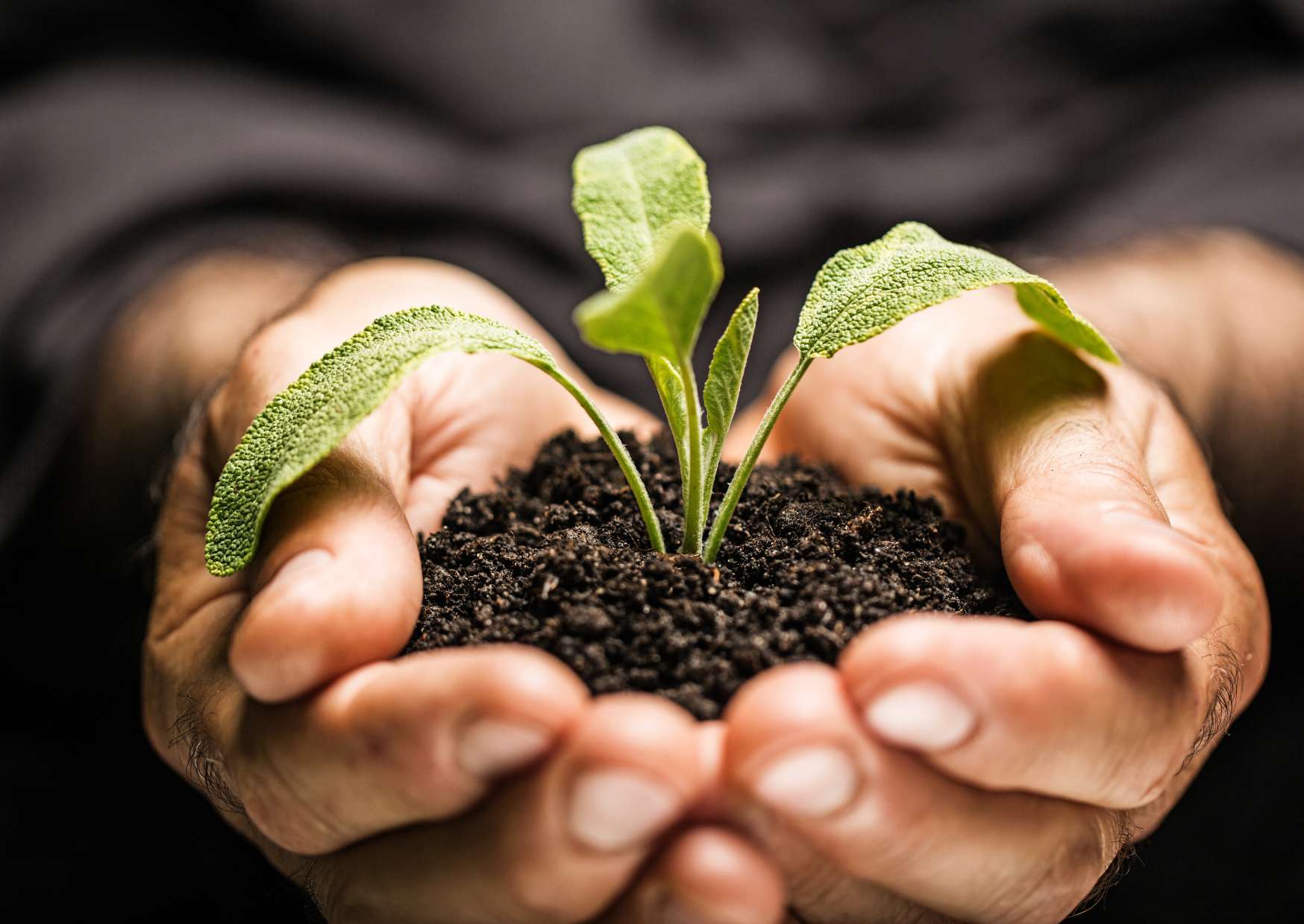 Cultivating a Positive Attitude for Life
