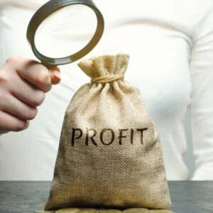 Profit Maximization Insights