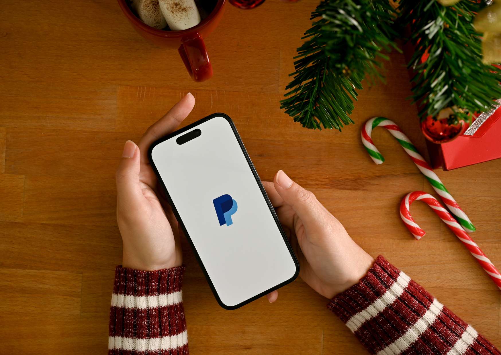 PayPal Basics Primer