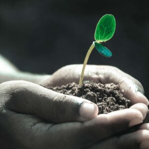 Harmony Within: A Path to Personal Growth