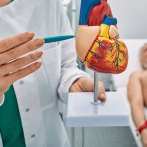 Exploring Cardiology: Heart Health Insights