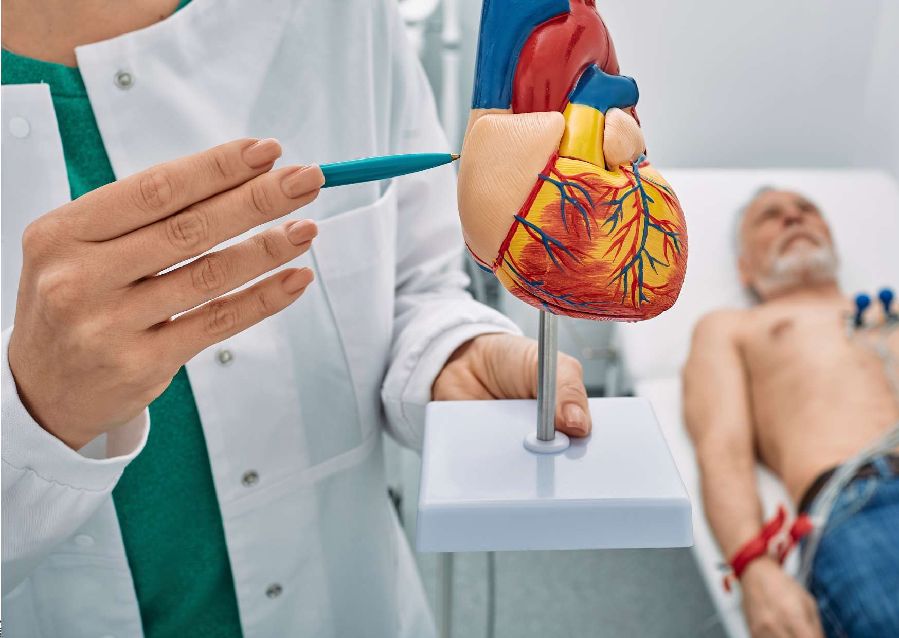 Exploring Cardiology: Heart Health Insights