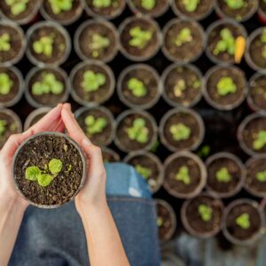 Gratitude in Practice: Cultivating Happiness