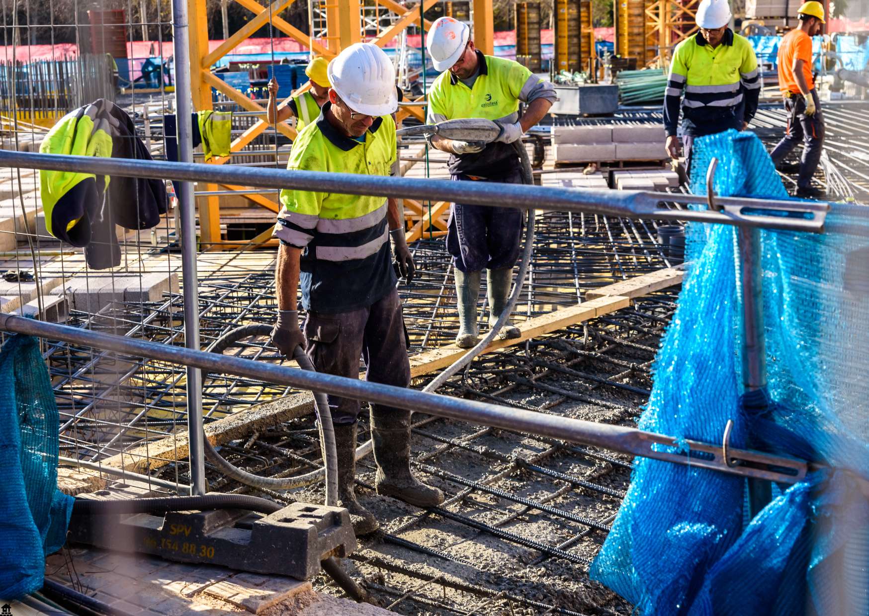 Communication Essentials: Building Success Foundations