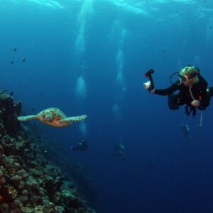 Dive into Marine Biology
