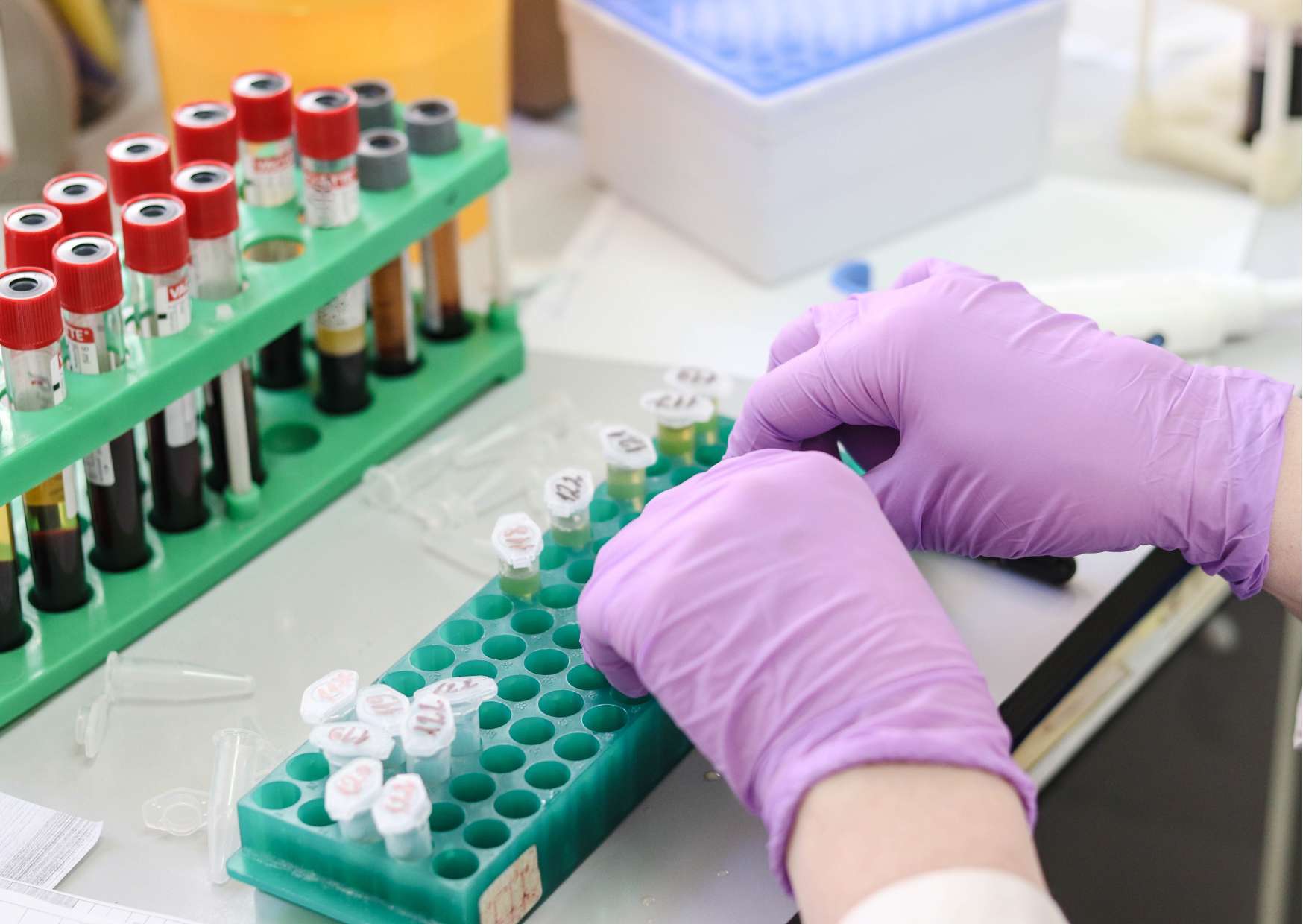 Safe Handling of Medicines Certification