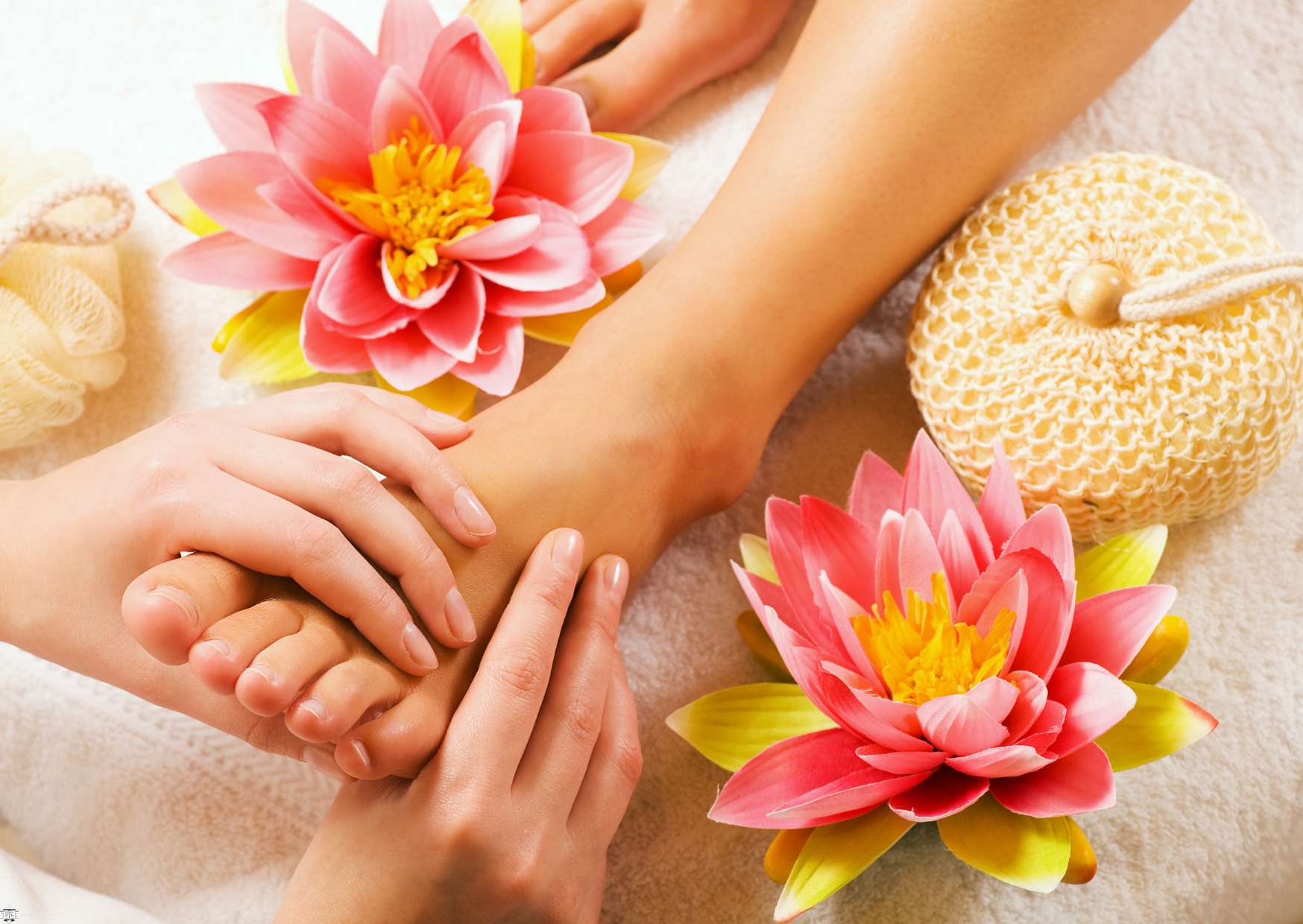 Reflexology Expert Program