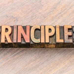 Data Analysis in Excel: Core Principles