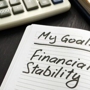 Financial Stability Navigator: Income Blueprint