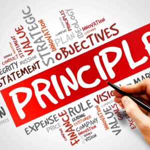 Online Entrepreneurship Principles