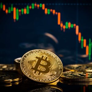 Poloniex Proficiency: Mastering Bitcoin Trading