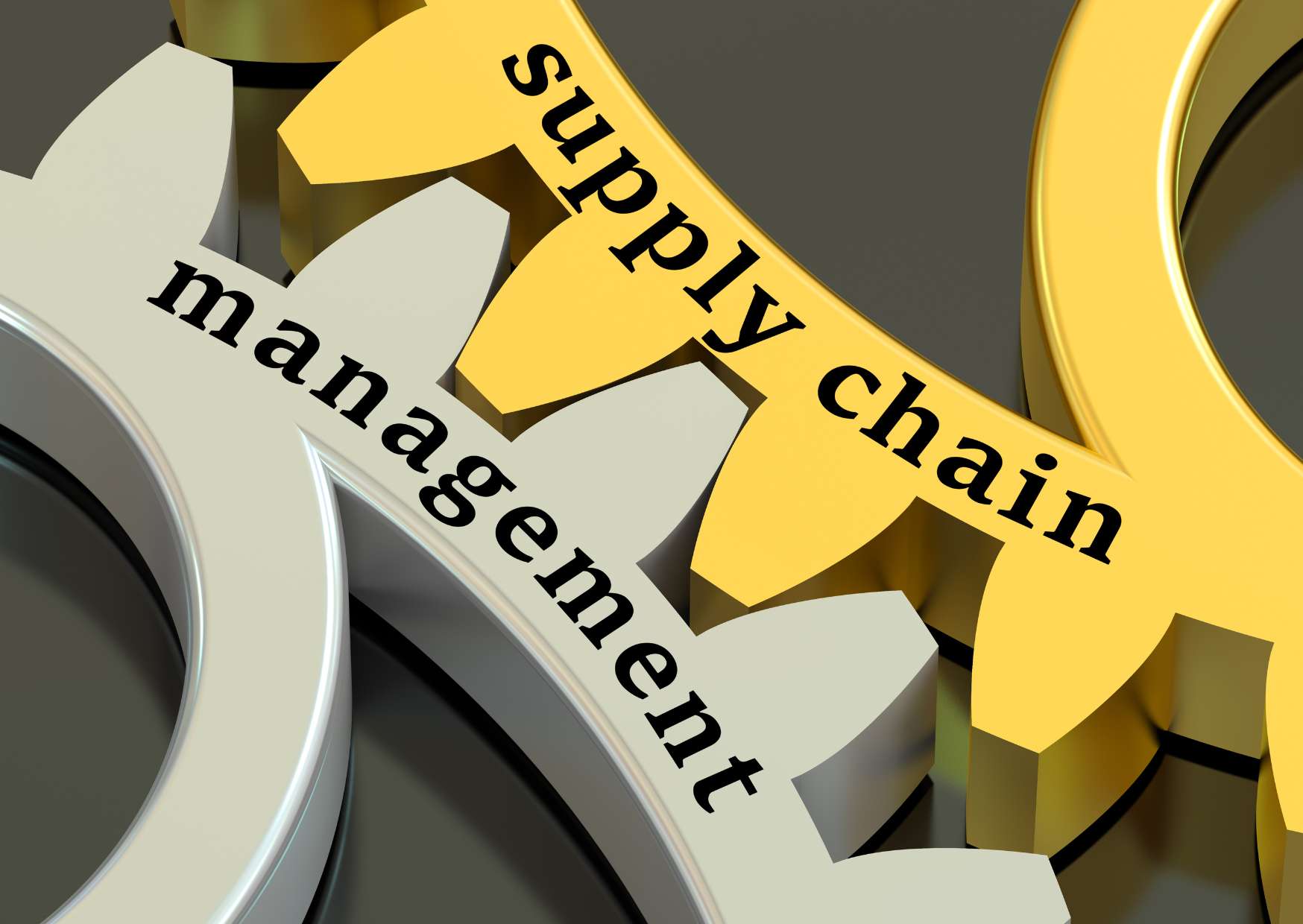 Procurement & Supply Training Program