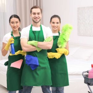 Professional Cleaning Practices (UK)