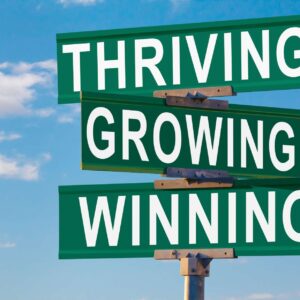Thriving Amidst Change Strategies