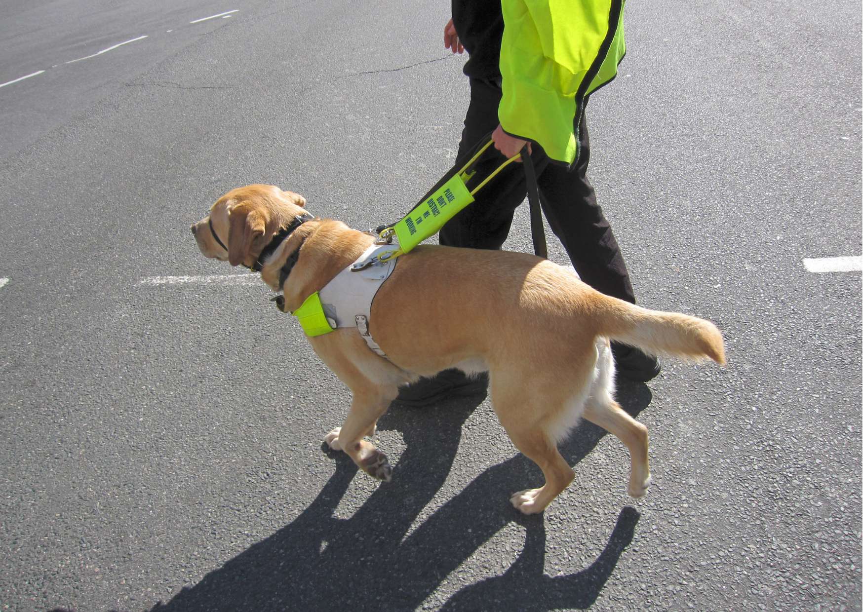 Ultimate Dog Training Guide