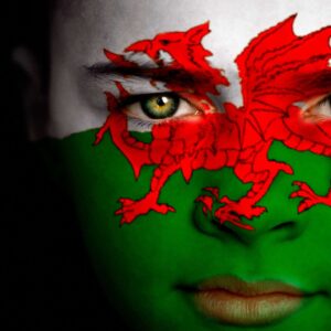 Welsh History Diploma