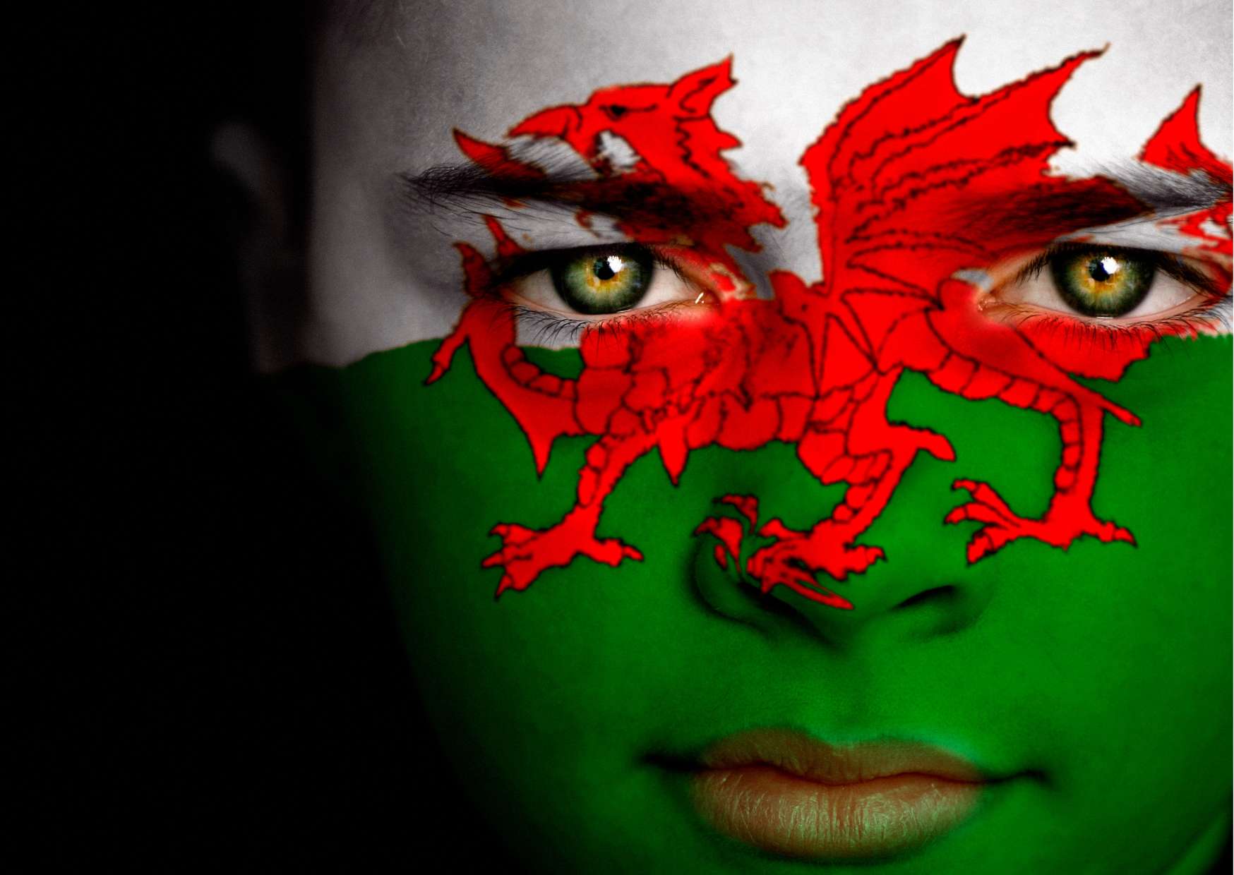 Welsh History Diploma