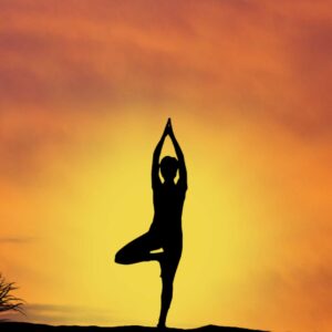Yoga Basics Training Program