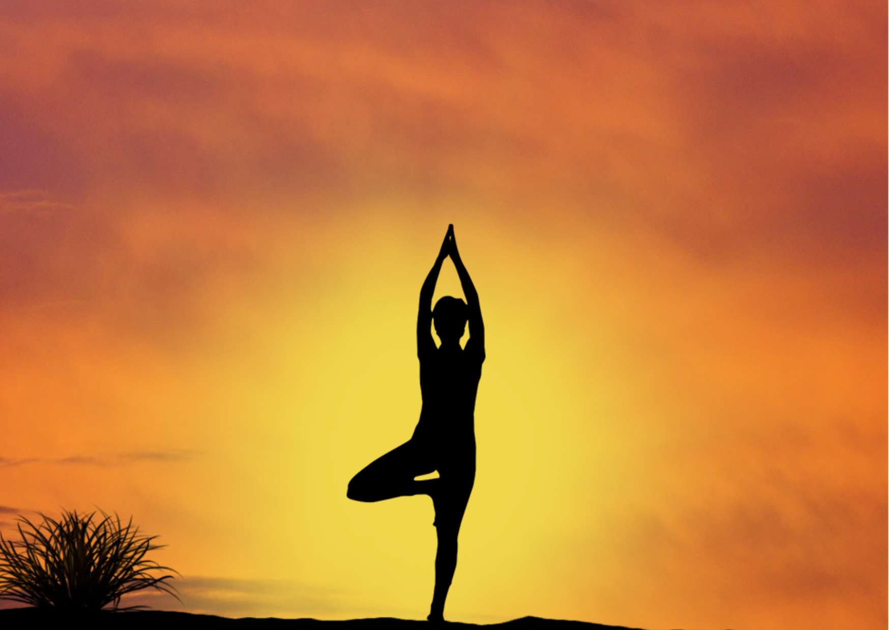 Yoga Basics Training Program